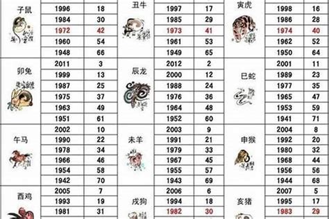 2014年属什么|2014年出生的属什么,2014年是什么生肖